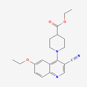 ethyl 1-(3-cyano-6-ethoxyquinolin-4-yl)piperidine-4-carboxylate