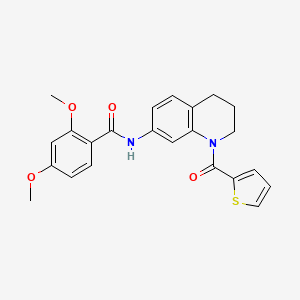 2,4-dimethoxy-N-[1-(thiophene-2-carbonyl)-1,2,3,4-tetrahydroquinolin-7-yl]benzamide