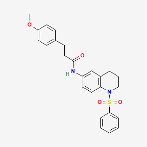 N-[1-(benzenesulfonyl)-1,2,3,4-tetrahydroquinolin-6-yl]-3-(4-methoxyphenyl)propanamide