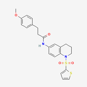 molecular formula C23H24N2O4S2 B6560357 3-(4-methoxyphenyl)-N-[1-(thiophene-2-sulfonyl)-1,2,3,4-tetrahydroquinolin-6-yl]propanamide CAS No. 946260-15-7