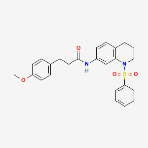 N-[1-(benzenesulfonyl)-1,2,3,4-tetrahydroquinolin-7-yl]-3-(4-methoxyphenyl)propanamide