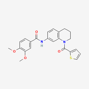 molecular formula C23H22N2O4S B6561040 3,4-dimethoxy-N-[1-(thiophene-2-carbonyl)-1,2,3,4-tetrahydroquinolin-7-yl]benzamide CAS No. 946320-52-1