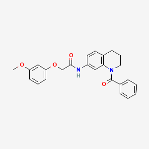 N-(1-benzoyl-1,2,3,4-tetrahydroquinolin-7-yl)-2-(3-methoxyphenoxy)acetamide