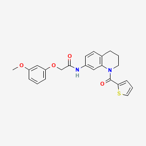 2-(3-methoxyphenoxy)-N-[1-(thiophene-2-carbonyl)-1,2,3,4-tetrahydroquinolin-7-yl]acetamide