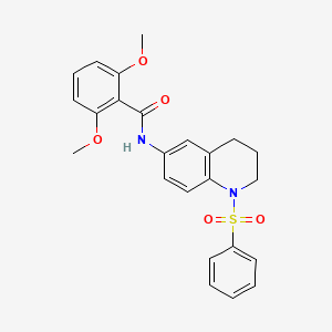 molecular formula C24H24N2O5S B6561477 N-[1-(benzenesulfonyl)-1,2,3,4-tetrahydroquinolin-6-yl]-2,6-dimethoxybenzamide CAS No. 946211-57-0