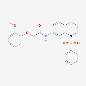 N-[1-(benzenesulfonyl)-1,2,3,4-tetrahydroquinolin-7-yl]-2-(2-methoxyphenoxy)acetamide