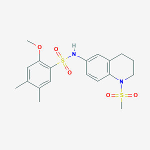 molecular formula C19H24N2O5S2 B6563242 N-(1-methanesulfonyl-1,2,3,4-tetrahydroquinolin-6-yl)-2-methoxy-4,5-dimethylbenzene-1-sulfonamide CAS No. 946283-71-2