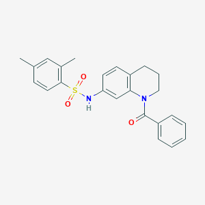 molecular formula C24H24N2O3S B6564516 N-(1-benzoyl-1,2,3,4-tetrahydroquinolin-7-yl)-2,4-dimethylbenzene-1-sulfonamide CAS No. 946370-37-2