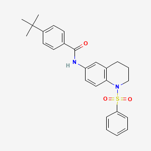 molecular formula C26H28N2O3S B6566274 N-[1-(benzenesulfonyl)-1,2,3,4-tetrahydroquinolin-6-yl]-4-tert-butylbenzamide CAS No. 946381-82-4