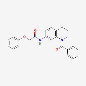 molecular formula C24H22N2O3 B6568921 N-(1-benzoyl-1,2,3,4-tetrahydroquinolin-7-yl)-2-phenoxyacetamide CAS No. 946368-36-1