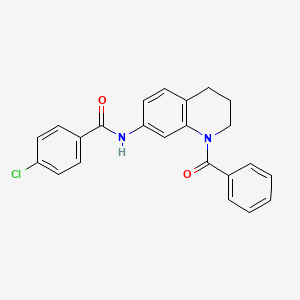 molecular formula C23H19ClN2O2 B6568940 N-(1-benzoyl-1,2,3,4-tetrahydroquinolin-7-yl)-4-chlorobenzamide CAS No. 946320-72-5