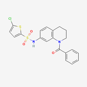 molecular formula C20H17ClN2O3S2 B6569005 N-(1-benzoyl-1,2,3,4-tetrahydroquinolin-7-yl)-5-chlorothiophene-2-sulfonamide CAS No. 946322-75-4
