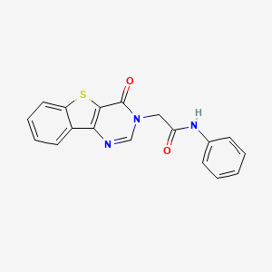 molecular formula C18H13N3O2S B6569512 2-{6-oxo-8-thia-3,5-diazatricyclo[7.4.0.0^{2,7}]trideca-1(13),2(7),3,9,11-pentaen-5-yl}-N-phenylacetamide CAS No. 1021230-71-6