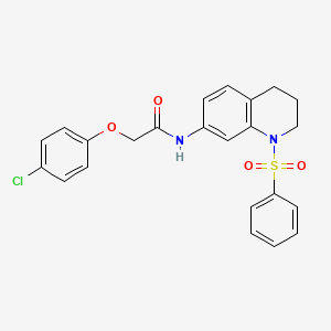 molecular formula C23H21ClN2O4S B6569581 N-[1-(benzenesulfonyl)-1,2,3,4-tetrahydroquinolin-7-yl]-2-(4-chlorophenoxy)acetamide CAS No. 946298-36-8
