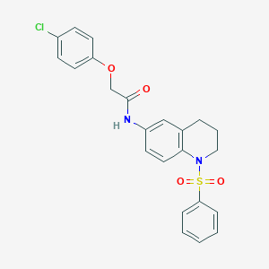 molecular formula C23H21ClN2O4S B6569595 N-[1-(benzenesulfonyl)-1,2,3,4-tetrahydroquinolin-6-yl]-2-(4-chlorophenoxy)acetamide CAS No. 946334-89-0