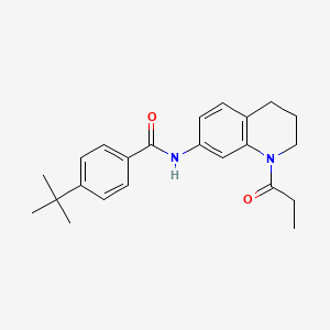 molecular formula C23H28N2O2 B6570080 4-tert-butyl-N-(1-propanoyl-1,2,3,4-tetrahydroquinolin-7-yl)benzamide CAS No. 946369-25-1