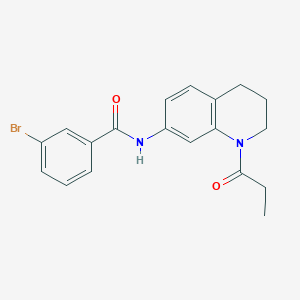 molecular formula C19H19BrN2O2 B6570092 3-bromo-N-(1-propanoyl-1,2,3,4-tetrahydroquinolin-7-yl)benzamide CAS No. 946321-43-3
