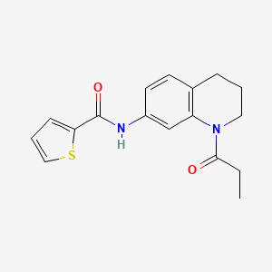 molecular formula C17H18N2O2S B6570159 N-(1-propanoyl-1,2,3,4-tetrahydroquinolin-7-yl)thiophene-2-carboxamide CAS No. 946267-11-4