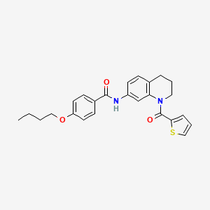 molecular formula C25H26N2O3S B6570706 4-butoxy-N-[1-(thiophene-2-carbonyl)-1,2,3,4-tetrahydroquinolin-7-yl]benzamide CAS No. 946266-34-8