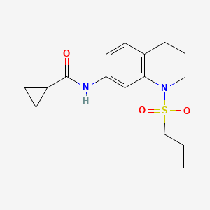 molecular formula C16H22N2O3S B6571117 N-[1-(propane-1-sulfonyl)-1,2,3,4-tetrahydroquinolin-7-yl]cyclopropanecarboxamide CAS No. 946351-03-7
