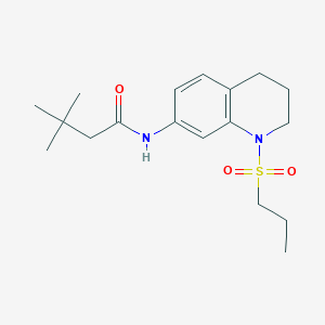 molecular formula C18H28N2O3S B6571124 3,3-dimethyl-N-[1-(propane-1-sulfonyl)-1,2,3,4-tetrahydroquinolin-7-yl]butanamide CAS No. 946351-31-1