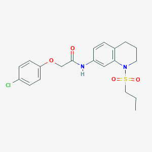 molecular formula C20H23ClN2O4S B6571156 2-(4-chlorophenoxy)-N-[1-(propane-1-sulfonyl)-1,2,3,4-tetrahydroquinolin-7-yl]acetamide CAS No. 946291-85-6