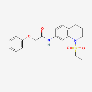 molecular formula C20H24N2O4S B6571174 2-phenoxy-N-[1-(propane-1-sulfonyl)-1,2,3,4-tetrahydroquinolin-7-yl]acetamide CAS No. 946224-92-6