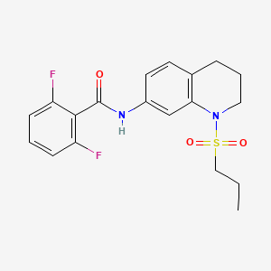 molecular formula C19H20F2N2O3S B6571217 2,6-difluoro-N-[1-(propane-1-sulfonyl)-1,2,3,4-tetrahydroquinolin-7-yl]benzamide CAS No. 946224-96-0