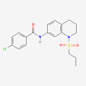 molecular formula C19H21ClN2O3S B6571271 4-chloro-N-[1-(propane-1-sulfonyl)-1,2,3,4-tetrahydroquinolin-7-yl]benzamide CAS No. 946299-27-0