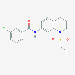 molecular formula C19H21ClN2O3S B6571321 3-chloro-N-[1-(propane-1-sulfonyl)-1,2,3,4-tetrahydroquinolin-7-yl]benzamide CAS No. 946292-21-3