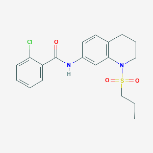 molecular formula C19H21ClN2O3S B6571336 2-chloro-N-[1-(propane-1-sulfonyl)-1,2,3,4-tetrahydroquinolin-7-yl]benzamide CAS No. 946225-24-7