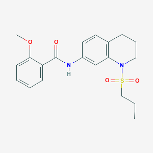 molecular formula C20H24N2O4S B6571348 2-methoxy-N-[1-(propane-1-sulfonyl)-1,2,3,4-tetrahydroquinolin-7-yl]benzamide CAS No. 946299-52-1
