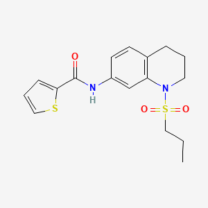 molecular formula C17H20N2O3S2 B6571363 N-[1-(propane-1-sulfonyl)-1,2,3,4-tetrahydroquinolin-7-yl]thiophene-2-carboxamide CAS No. 946299-49-6