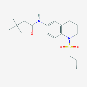 molecular formula C18H28N2O3S B6571369 3,3-dimethyl-N-[1-(propane-1-sulfonyl)-1,2,3,4-tetrahydroquinolin-6-yl]butanamide CAS No. 946336-85-2
