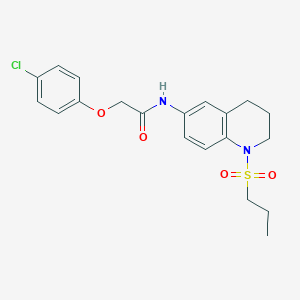 molecular formula C20H23ClN2O4S B6571403 2-(4-chlorophenoxy)-N-[1-(propane-1-sulfonyl)-1,2,3,4-tetrahydroquinolin-6-yl]acetamide CAS No. 946336-37-4