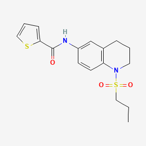molecular formula C17H20N2O3S2 B6571612 N-[1-(propane-1-sulfonyl)-1,2,3,4-tetrahydroquinolin-6-yl]thiophene-2-carboxamide CAS No. 946383-44-4