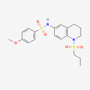 molecular formula C19H24N2O5S2 B6571700 4-methoxy-N-[1-(propane-1-sulfonyl)-1,2,3,4-tetrahydroquinolin-6-yl]benzene-1-sulfonamide CAS No. 946241-32-3