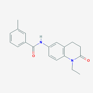 molecular formula C19H20N2O2 B6572047 N-(1-ethyl-2-oxo-1,2,3,4-tetrahydroquinolin-6-yl)-3-methylbenzamide CAS No. 922053-57-4