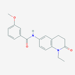molecular formula C19H20N2O3 B6572055 N-(1-ethyl-2-oxo-1,2,3,4-tetrahydroquinolin-6-yl)-3-methoxybenzamide CAS No. 921998-76-7
