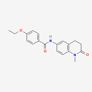 molecular formula C19H20N2O3 B6572584 4-ethoxy-N-(1-methyl-2-oxo-1,2,3,4-tetrahydroquinolin-6-yl)benzamide CAS No. 921913-97-5