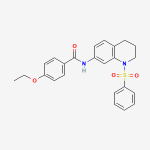 molecular formula C24H24N2O4S B6572612 N-[1-(benzenesulfonyl)-1,2,3,4-tetrahydroquinolin-7-yl]-4-ethoxybenzamide CAS No. 946290-99-9