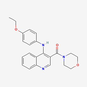 molecular formula C22H23N3O3 B6572821 N-(4-ethoxyphenyl)-3-(morpholine-4-carbonyl)quinolin-4-amine CAS No. 1021225-27-3