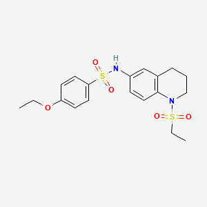 molecular formula C19H24N2O5S2 B6572841 N-[1-(ethanesulfonyl)-1,2,3,4-tetrahydroquinolin-6-yl]-4-ethoxybenzene-1-sulfonamide CAS No. 946347-71-3