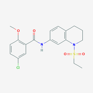 molecular formula C19H21ClN2O4S B6573406 5-chloro-N-[1-(ethanesulfonyl)-1,2,3,4-tetrahydroquinolin-7-yl]-2-methoxybenzamide CAS No. 946351-75-3