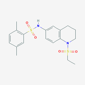 molecular formula C19H24N2O4S2 B6573799 N-[1-(ethanesulfonyl)-1,2,3,4-tetrahydroquinolin-6-yl]-2,5-dimethylbenzene-1-sulfonamide CAS No. 946347-79-1