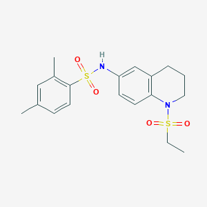 molecular formula C19H24N2O4S2 B6573804 N-[1-(ethanesulfonyl)-1,2,3,4-tetrahydroquinolin-6-yl]-2,4-dimethylbenzene-1-sulfonamide CAS No. 946347-67-7