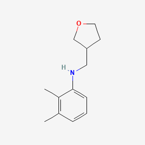 molecular formula C13H19NO B6579940 2,3-dimethyl-N-[(oxolan-3-yl)methyl]aniline CAS No. 1021054-21-6