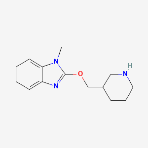 molecular formula C14H19N3O B6582603 1-methyl-2-[(piperidin-3-yl)methoxy]-1H-1,3-benzodiazole CAS No. 1185539-09-6