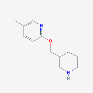 5-methyl-2-[(piperidin-3-yl)methoxy]pyridine
