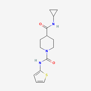 molecular formula C14H19N3O2S B6586205 N4-cyclopropyl-N1-(thiophen-2-yl)piperidine-1,4-dicarboxamide CAS No. 1226451-04-2